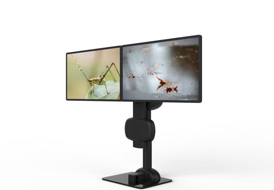 Sollevamento automatico ruotante doppio monitor braccio Stand per alleviare il dolore al collo e lombare
