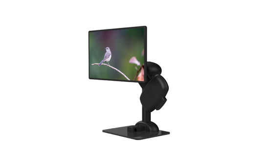 Progettazione pigra di sollevamento automatica durevole del supporto del monitor di LCD di salute del collo
