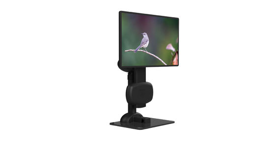 Parte girevole LCD ergonomica del monitor del supporto per alleviare rigidezza del collo