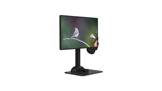 Rotazione LCD professionale del supporto del monitor automatica per rigidità della spina dorsale