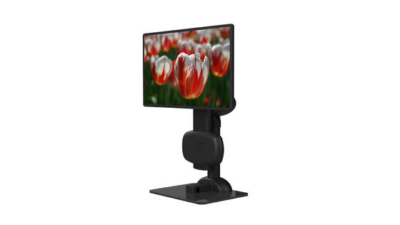 Progettazione pigra di sollevamento elettrica del supporto dell'esposizione del computer portatile ODM/dell'OEM