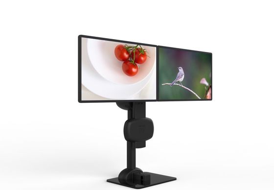Elettrico sollevamento ruotante doppio monitor Stand per alleviare il dolore al collo e lombare