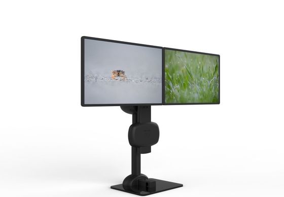 Sollevamento automatico ruotante doppio monitor Stand per alleviare il dolore al collo e lombare