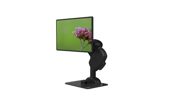 Movimento professionale del braccio dello schermo del computer portatile lentamente per rigidezza del collo