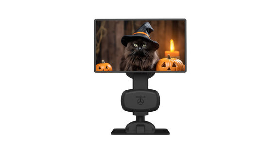 Strumento per la terapia del collo nero Laptop Screen Arm Bracket Monitor LCD Per alleviare la rigidità