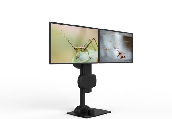 Montaggio automatico di sollevamento a doppio monitor per alleviare il dolore al collo e alla schiena